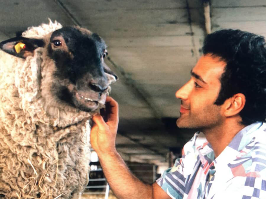 Syrisch-in-Vegan-Majed